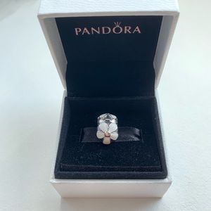 Pandora daisy clip